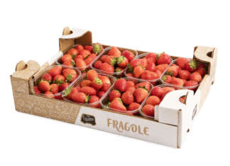 Fragole prima gamma Flli Orsero
