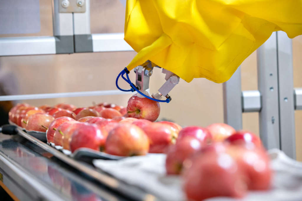 Le mele continuano a dominare l'export di ortofrutta italiana