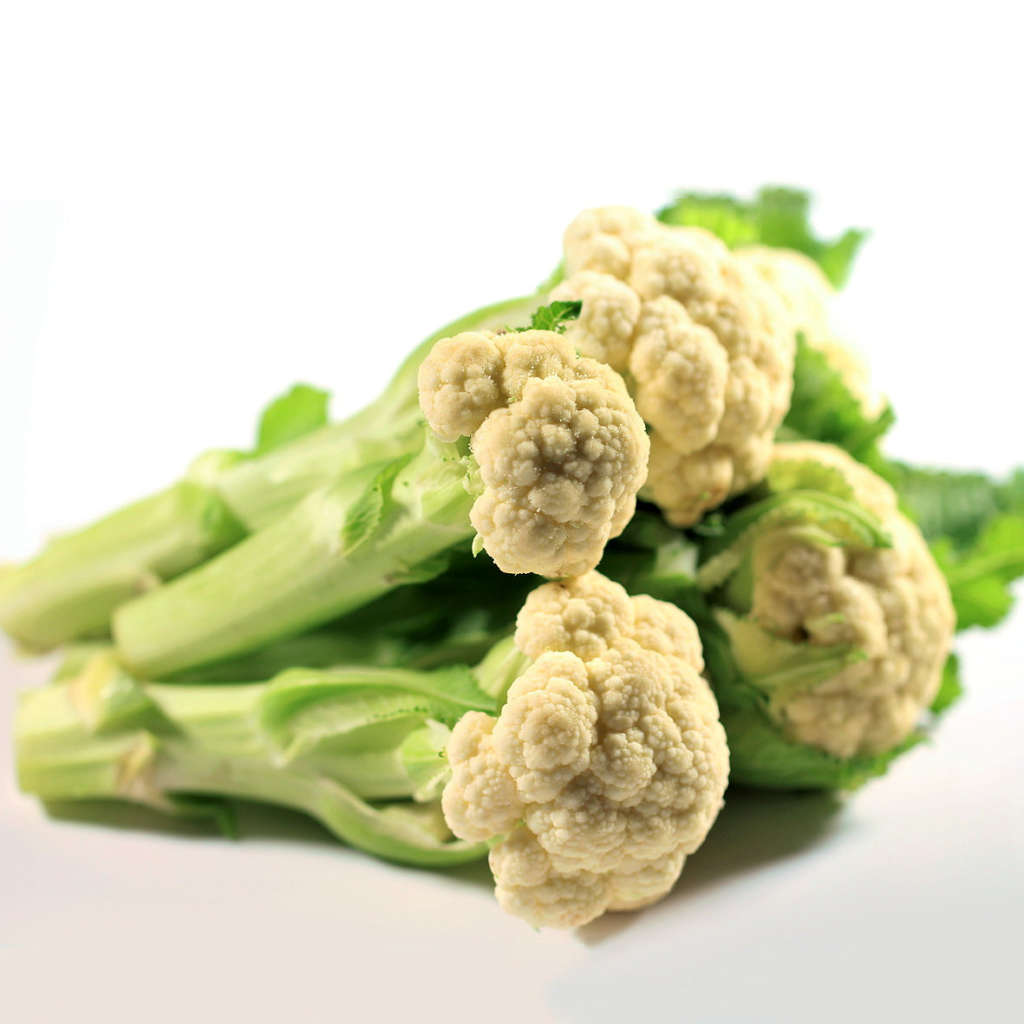 Cavolfiore iStem di Syngenta, Flia di bronzo