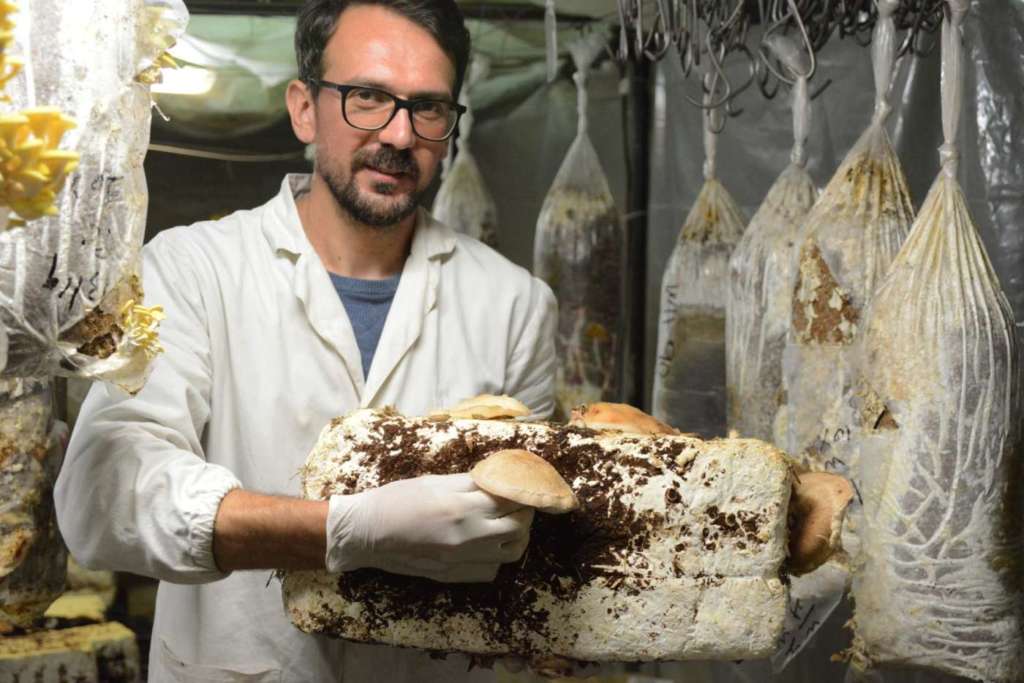 Antonio Di Giovanni, founder di Funghi Espresso e Circular Farm