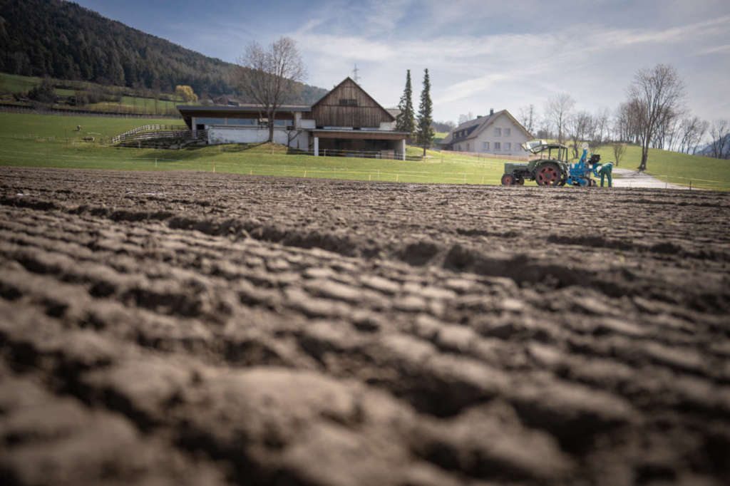 Field100 Dr. Schär, nell Alpi altoatesine
