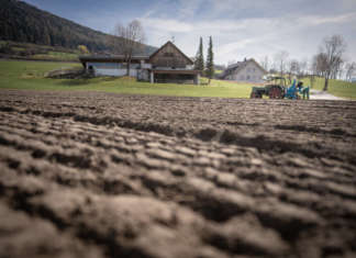 Dr. Schär: con Field100 nasce il più grande campo della biodiversità Field100 Dr. Schär, nell Alpi altoatesine