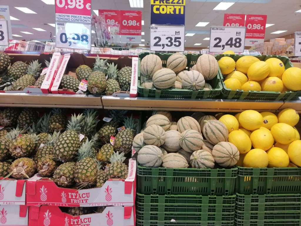 Piena campagna per i meloni retati siciliani