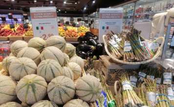 Andamento prezzi ortofrutta in Italia all’11 maggio 2026 Iniziata la stagione dei meloni