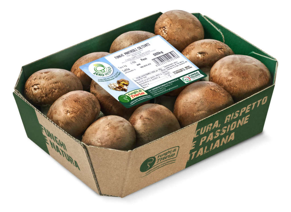 Linea Zero Residui Op Consorzio Funghi Treviso