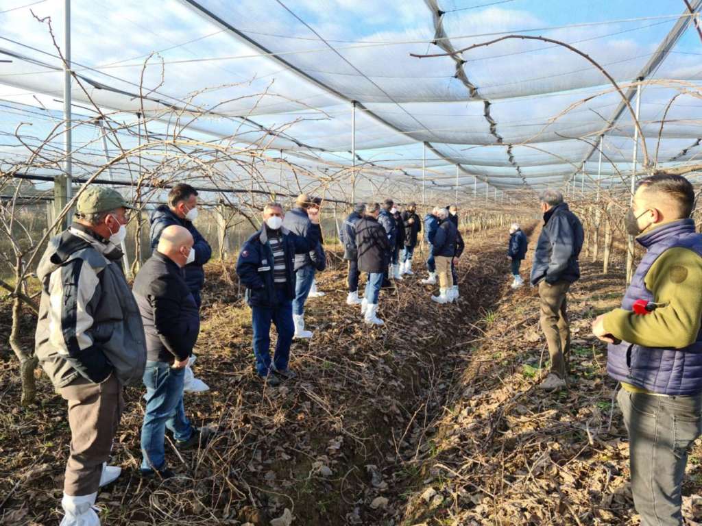 Consiglio itinerante Apofruit ad Aprilia (Lt)