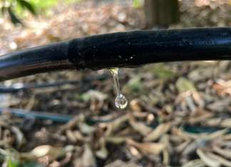 L'irrigazione a goccia è una delle tecnologie dell'agricoltura 4.0 capace di aumentare la produttività