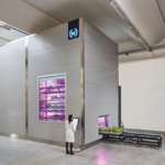 Il vertical farming continua a crescere ed è profittevole Gli impianti modulari di Ono Exponential Farming