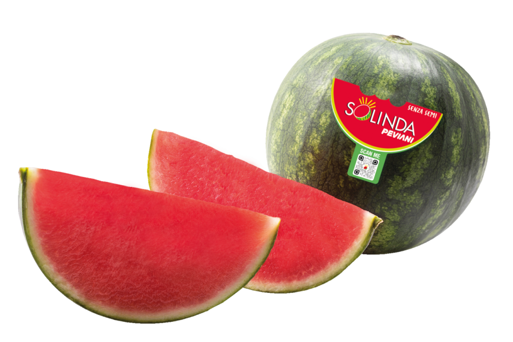 La mini anguria Solinda Peviani