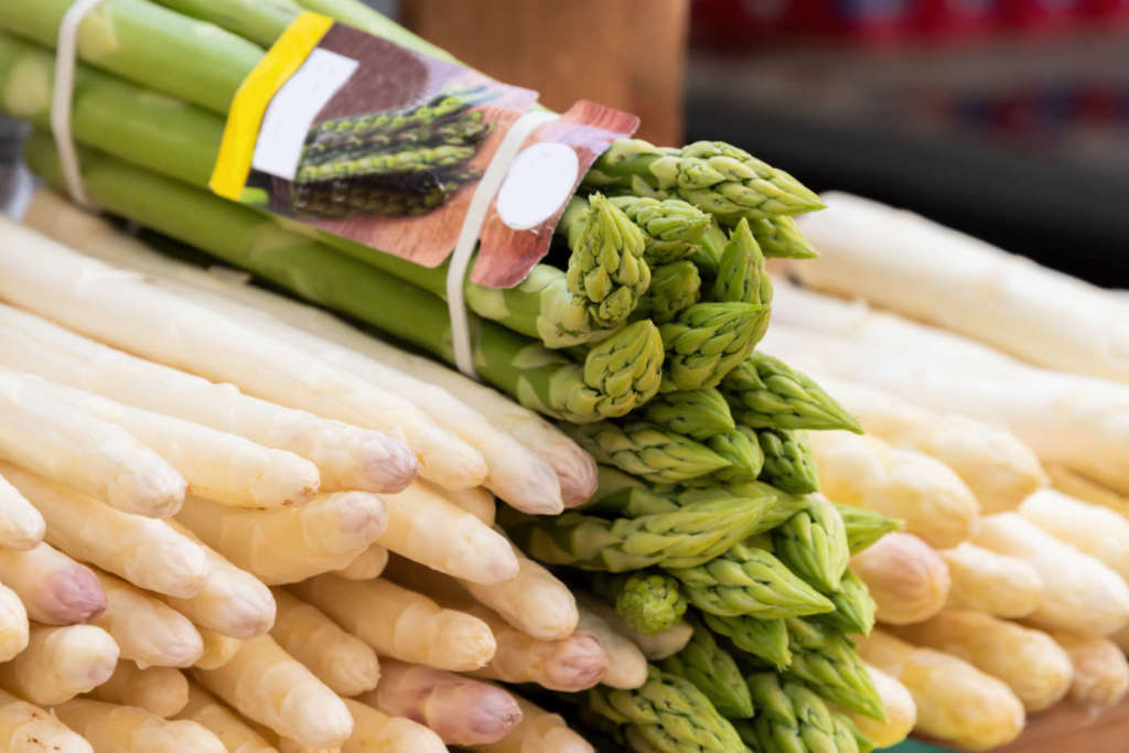 Apsaragi italia prezzi export superfici