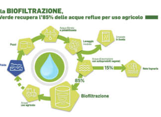 Il sistema di biofiltrazione della Linea Verde nell'impianto di Mabìnerbio