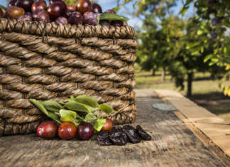 California Prune Board: 2,4 milioni di visualizzazioni all’adv Prugne California Prune Board