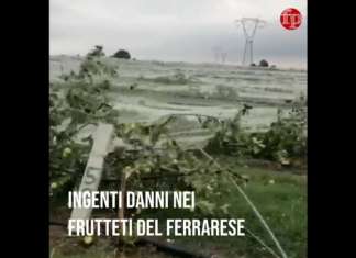 Ondata di maltempo, gravi danni nei campi del ferrarese