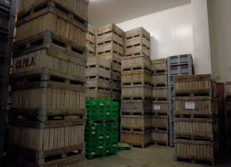 Allarme rincaro energia, conservare l’ortofrutta costa fino all’800% in più rincaro energia conservazione ortofrutta