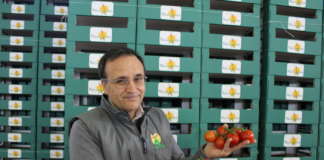 Roberto Giadone, amministratore unico Natura Iblea, azienda di ortofrutta siciliana