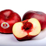 Ondine, la nettarina piatta Club