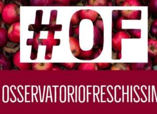 L’Osservatorio Freschissimi è uno strumento che analizza la qualità delle referenze dei freschissimi nella gdo