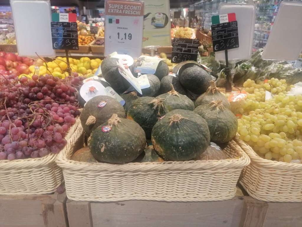 E' iniziata la stagione della produzione di zucche