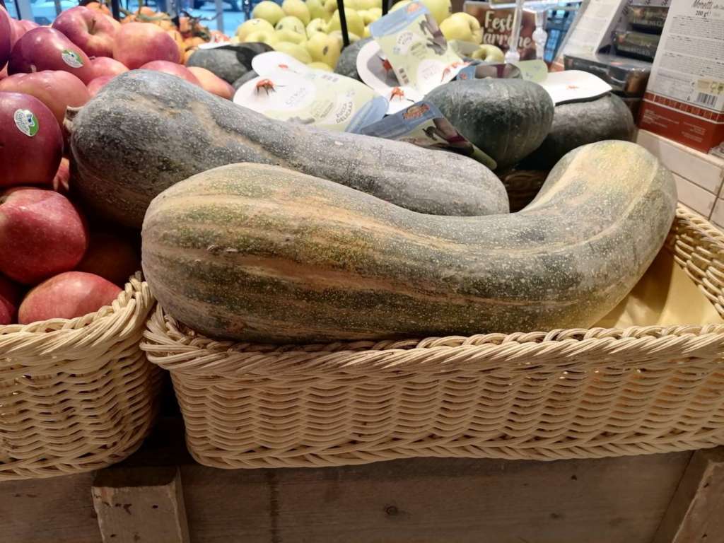 Entra nel vivo la campagna delle zucche, sostenuta dalla festa di Halloween