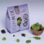 Planet Farms, sempre più healthy, lancia Yummix Kale Yummix Kale, nuova referenza Planet Farms