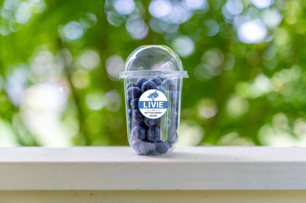 Mirtillo Livie del network Sekoya