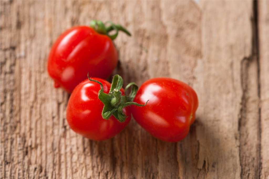 La nuova varietà di pomodoro Strabena