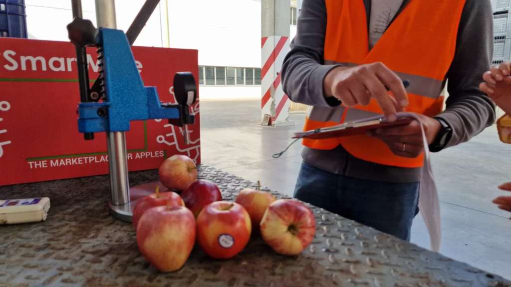 Controllo qualità mele Smartmele