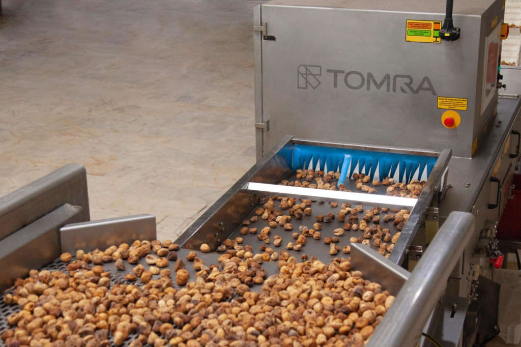 Selezionatrice Tomra utilizzata per i fichi secchi