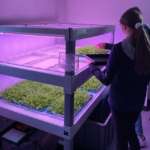 Esselunga e Planet Farms danno lezioni di vertical farming nelle scuole Giovani farmer hi-tech nelle scuole
