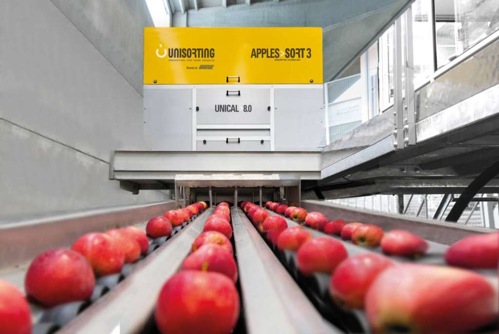 Unisorting Apples Sort 3 di Unitec