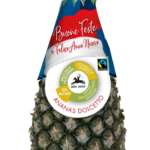Ananas Dolcetto Alce Nero Natale 2022