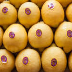 Limone di Siracusa Igp