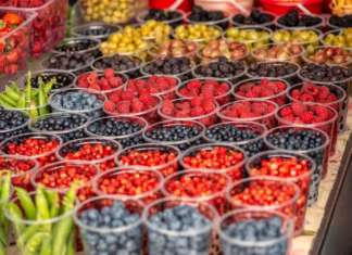 Antares Vision ha tracciato 1,5 miliardi di frutti di bosco