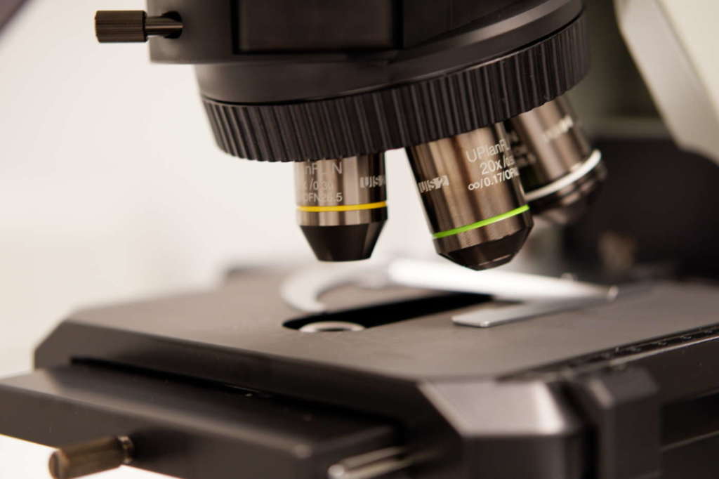 I laboratori di TÜV Italia rilevano gli Ogm in diversi prodotti dal Duemila