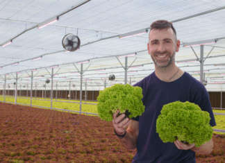 La serra Magic Garden che produce in idroponica