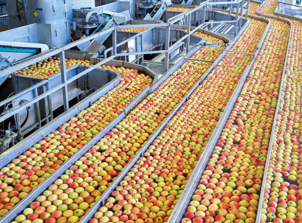 Vog Products lavora circa il 70-80% del raccolto di mele italiano in un'unica sede