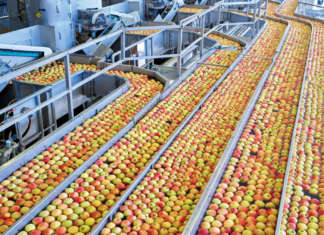 Vog Products lavora circa il 70-80% del raccolto di mele italiano in un'unica sede