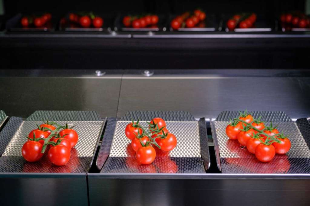 Tecnologia Zetapack utilizzata per il confezionamento del pomodoro Dorilli