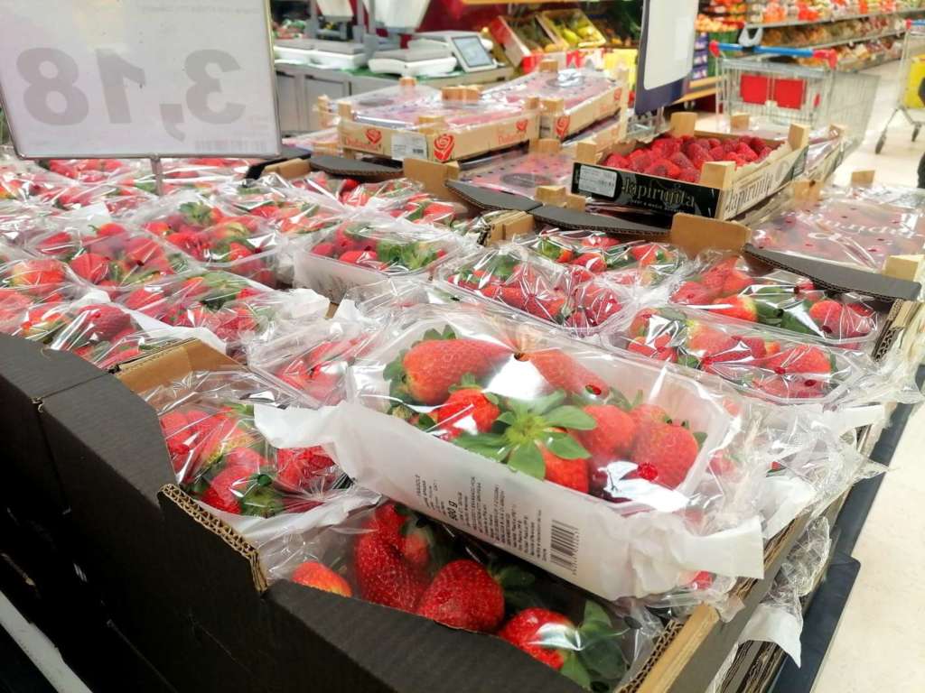 Procede a ritmi alti con un prodotto di buona qualità la campagna delle fragole