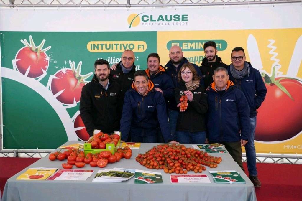 La presentazione delle due nuove varietà di Hm.Clause al Mercato di Vittoria, in provincia di Ragusa