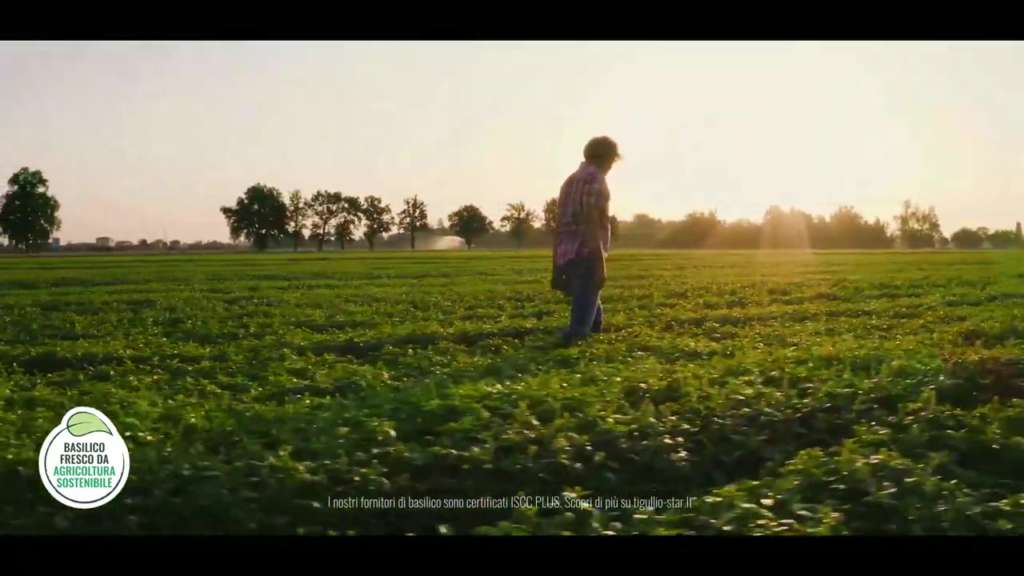 Il basilico sostenibile del brand Tigullio