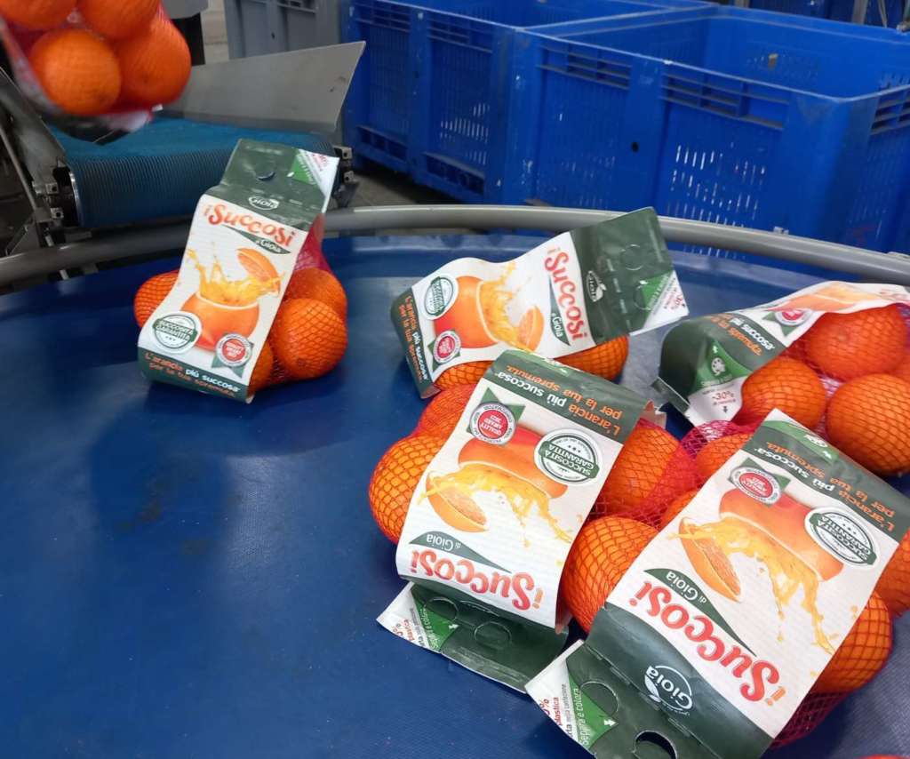 Agricola Lusia, arance iSuccosi, fase produzione