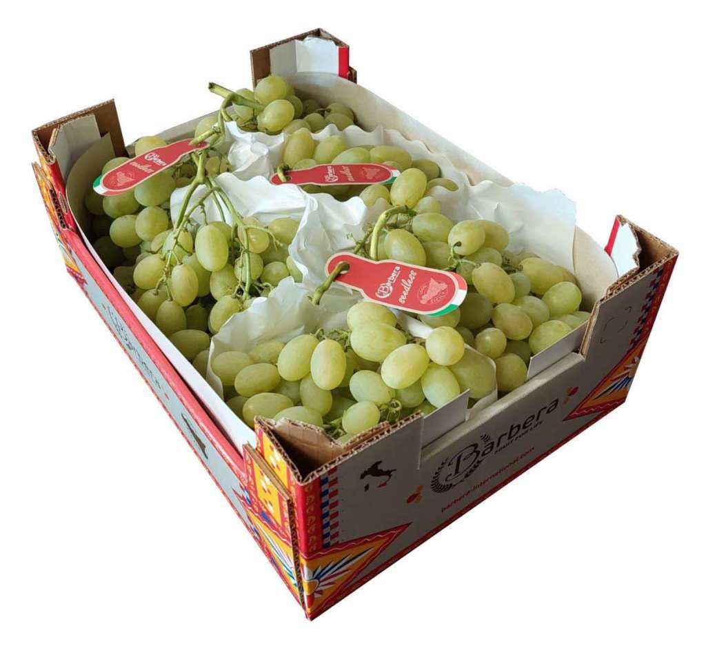 Uva Arra Sugar Drop Barbera prodotta in Sicilia