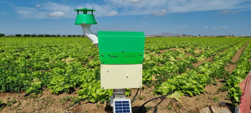 Il sistema di trappole digitali Trapview applicato da Bonduelle sulla lattuga di quarta gamma