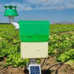 Il sistema di trappole digitali Trapview applicato da Bonduelle sulla lattuga di quarta gamma