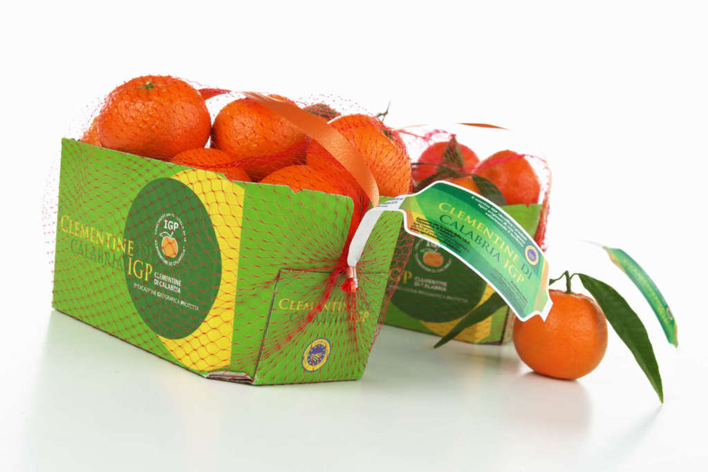 Clementine di Calabria Igp, sempre più presenti nella gdo