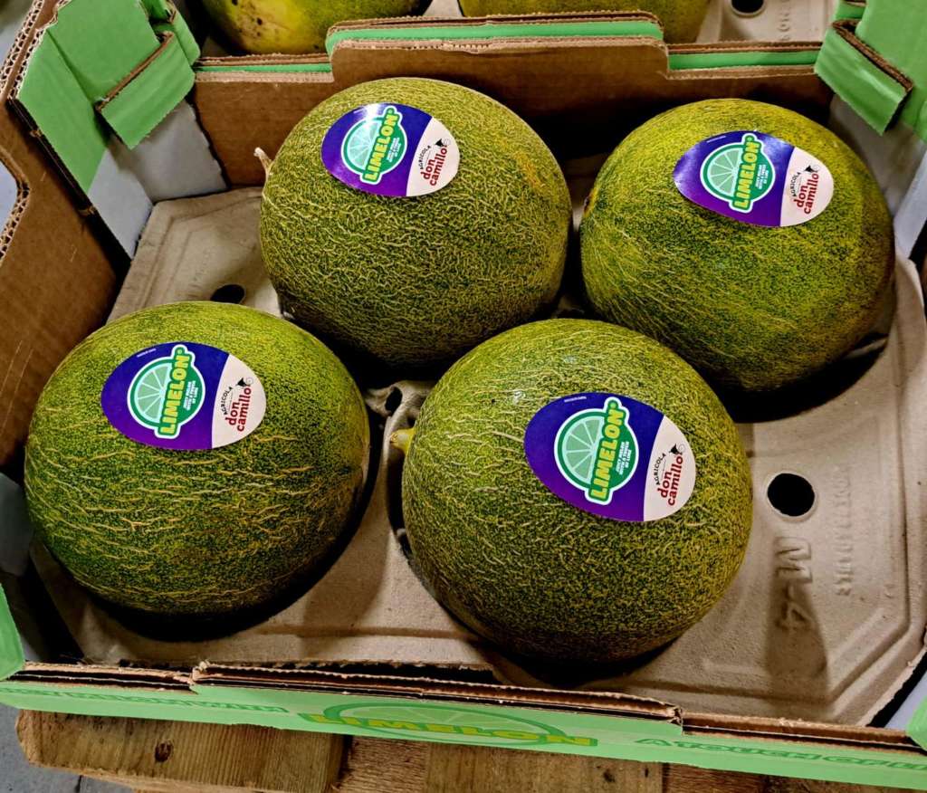 Melone Limelon Azienda agricola Don Camillo