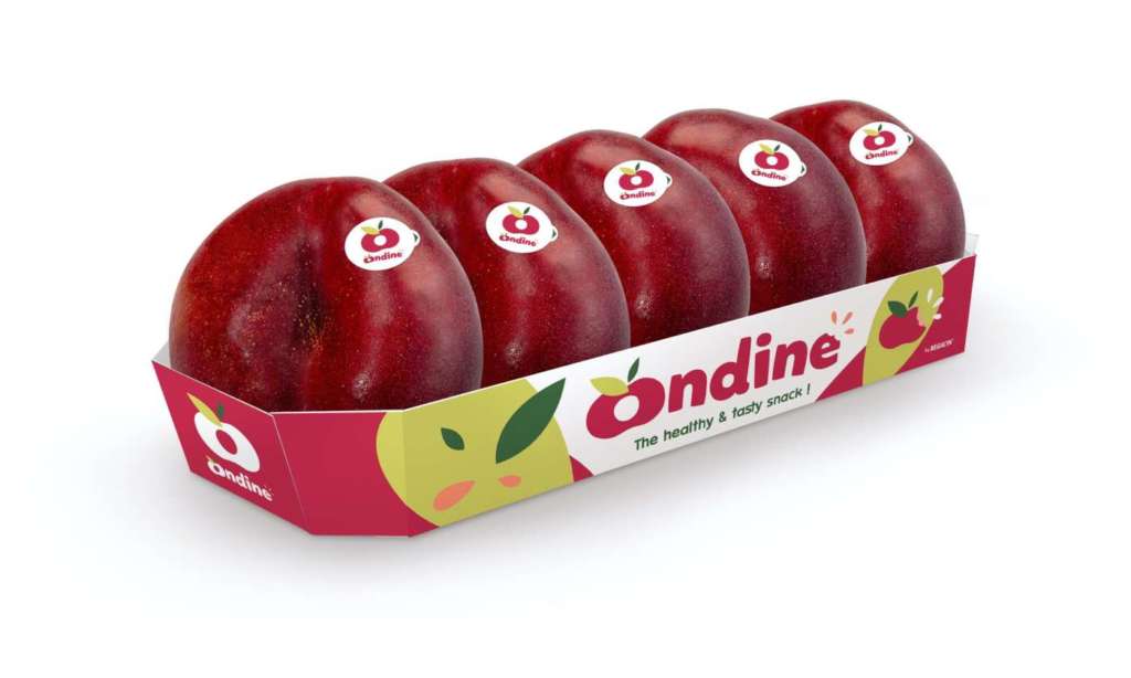 Ondine, la nettarina snack a polpa bianca di Mazzoni