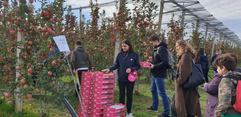 Pink Lady Adotta un albero, attività nel frutteto