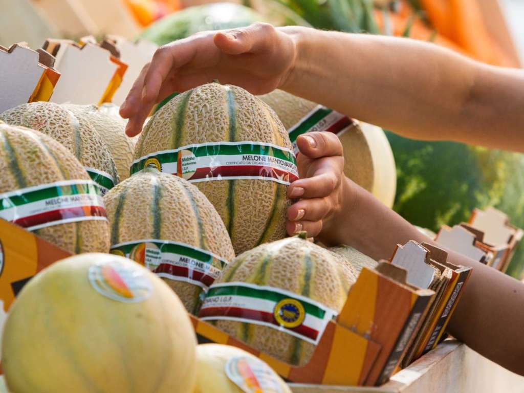 Melone Mantovano Igp, varietà retato